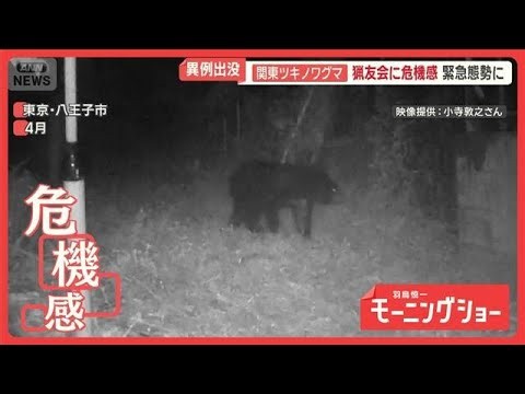 都市部に近づくクマ　東京“20年ぶり”狩猟解禁を検討　ハンターの課題と恐怖【羽鳥慎一モーニングショー】(2026年6月23日)
