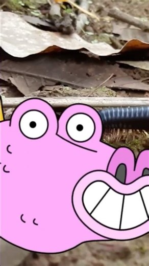 Let's learn about centipedes! 🐛