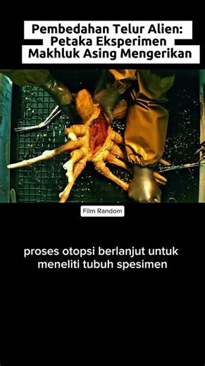 Alien Egg Dissection: The Disaster of a Terrifying Extraterrestrial Experiment