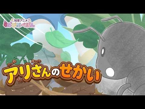 アリさんのせかい！🐜大きな靴にびっくり大冒険✨