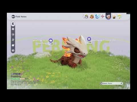 Aniimo - #070 Pebbling