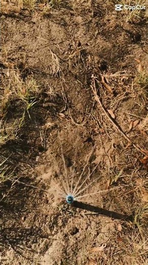 We knocked this 10 zone irrigation install out of the water! Orlando Florida! Can you see us?!!