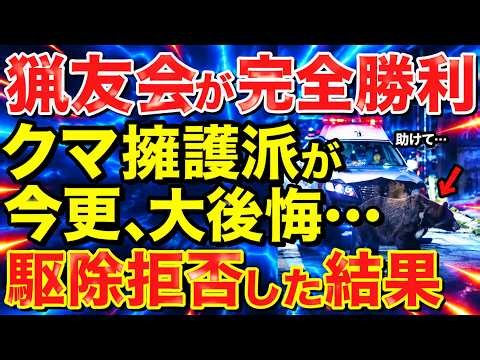 海外の反応猟友会か熊駆除を拒否政府は焦り遂に音を上け…今さら大後悔にほんのチカラ