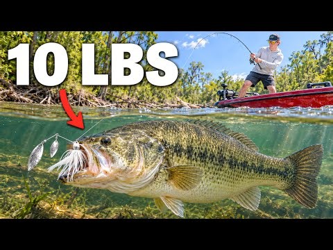 Fishing For A 10LB Bass In A WILD River!