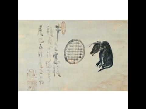 Impossible Situations: A Buffalo Passes Through the Window