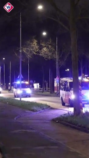 Agenten bekogeld met vuurwerk in Leidschendam | #shorts