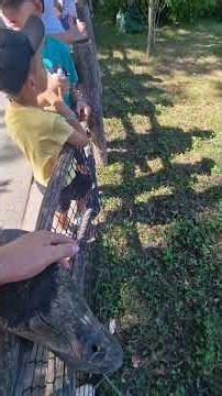 ❤️ Visit Czechia 🇨🇿 | Prague Zoo 🦁 | Travel Blog ✈️ | Vladimir Voloshin 🇨🇿