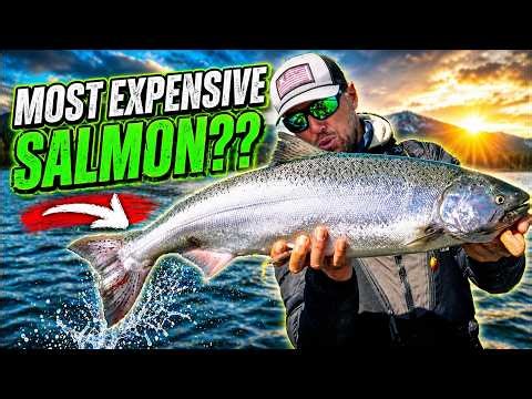 Lower Columbia River Spring Salmon Fishing With Gone Catchin Outfitters 