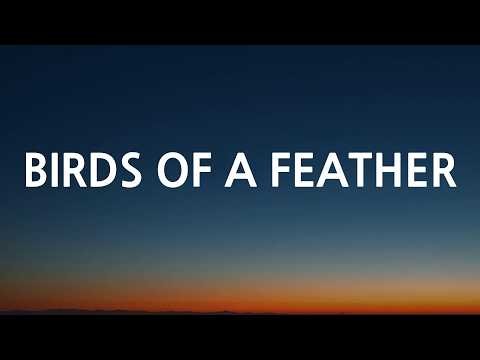 Billie Eilish - BIRDS OF A FEATHER (Lyrics)