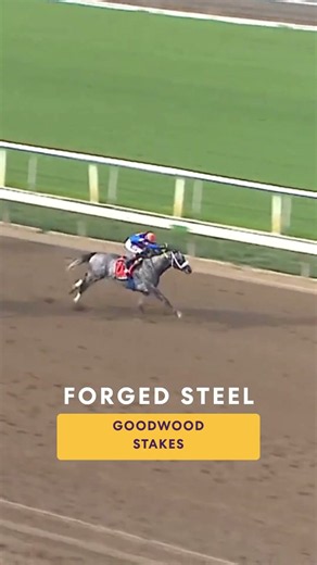 Goodwood Stakes - Forged Steel