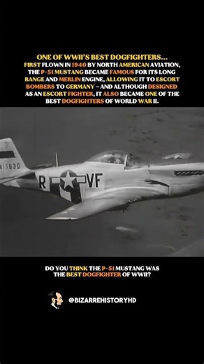 WWII’s Legendary Mustang Fighter #history #ww2