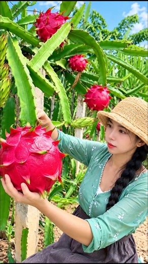 Beautiful nature with rural life –harvest fresh fruits 🍒🍇🍑 #fruit #shorts #yummy #yummyfood