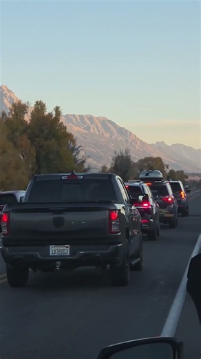 Chaos At National Park After Moose Suddenly Charges At Unsuspecting Woman #shorts