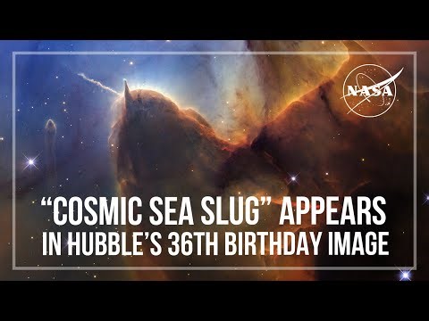 “Cosmic Sea Slug” Appears in Hubble’s 36th Birthday Image