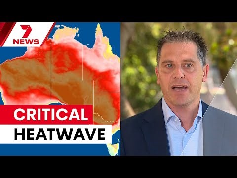 'Absolutely critical': Extreme heat warning issued for Sydney | 7NEWS