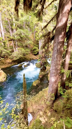 This Oregon River Doesn’t Look Real 🌲💧