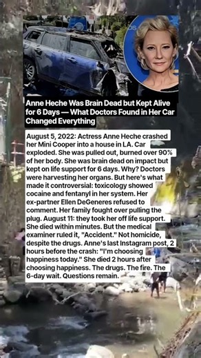 Anne Heche’s Final Hours Shocked Hollywood — The Crash, the Toxicology Results, and the 6 Days