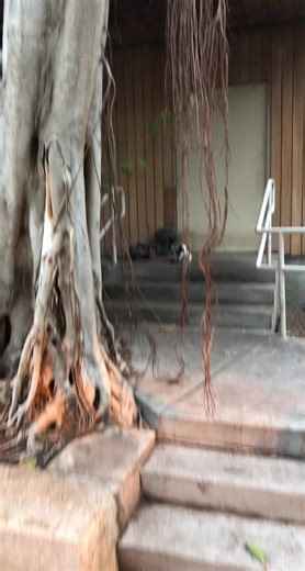 Discover the Meaning of Life Insights from Grant Berger