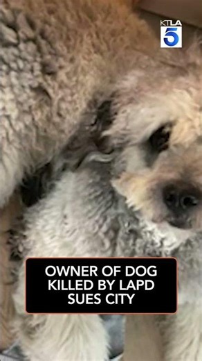 Owner of dog killed by LAPD sues city