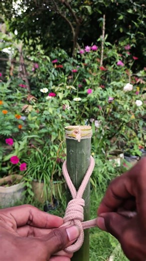 very strong tow knot!!! #knotskills