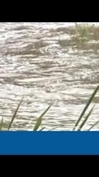 Here’s a look at the crossing that sees the greatest number of rescues