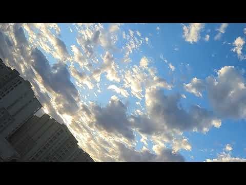 Study with me -- Rust programming -- A langauge learning CLI tool! -- Day 1