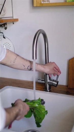 These 4 Tomato Pests Will Ruin Your Harvest – Catch Them Early #gardening #tomatogarden