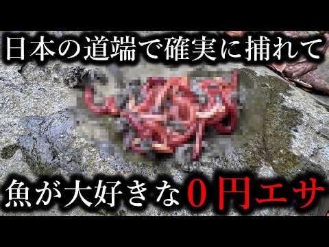 Fish can be caught using "free bait" that can be found on roadsides all over Japan, as if it were...