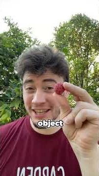 Top 5 Alien Looking Fruits That Don’t Seem Real!