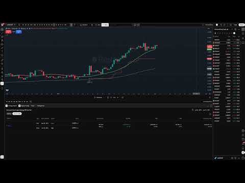 BLACK BOX AUDIT: ANKRUSDT // Universal Entry Proprietary Logic [Raw Log]