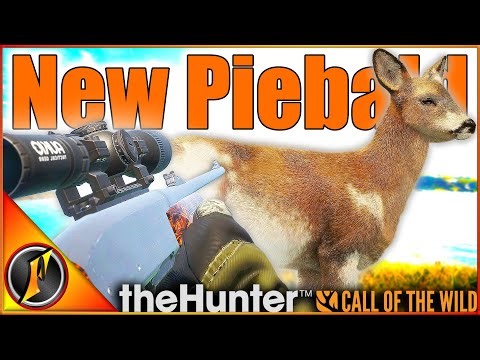 NEW Piebald Roe Deer on Scotland! | theHunter Call of the Wild