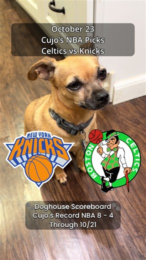 New York Knicks (0-1) vs Boston Celtics (0-1) — TD Garden, Boston, Massachusetts — October 23, 2026 🏀 NBA 2026–27 Regular Season 🐕 Cujo’s NBA Record: 8-4 Cujo gets two balls and makes the call. (For entertainment only) #Knicks #Celtics #NBA #CujoCatches #CujoPicks