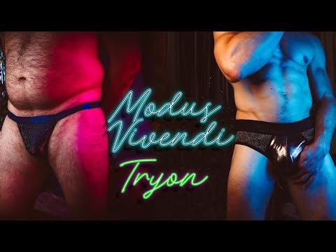 Modus Vivendi Armour & Gold Briefs Try-On 🔥 Luxury Men’s Underwear Review