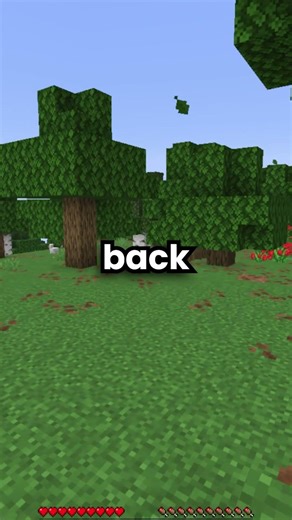 BEST Java/Bedrock Minecraft Server 🔎 #minecraft #gaming #lifestealsmp #smp