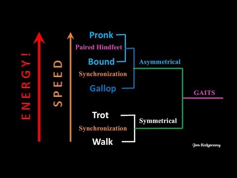 Tracking Dendrogram Dec2025 1920x1080