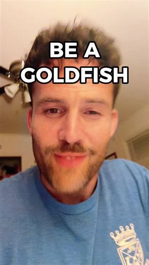 Be a goldfish #tedlasso #learnenglish #ingles