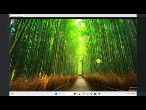 VMware Workstation Pro (Preparing Windows 11 Enterprise Golden Image with Sysprep) - Lesson 9