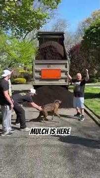 MULCH IS HERE