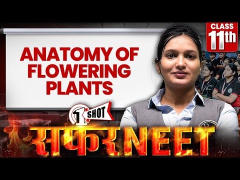 Anatomy of Flowering plants in 1 Shot | All Concepts + PYQs Covered | NEET 2026 Biology | Safar NEET