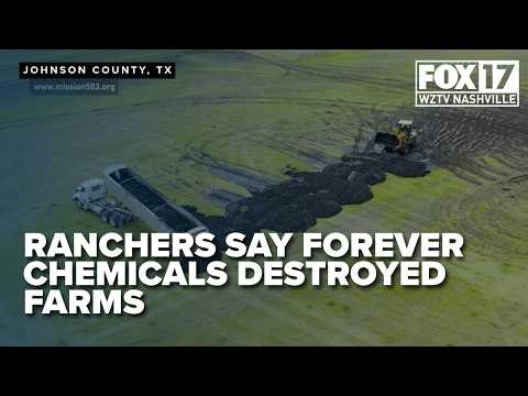 'Nobody gives a damn': Texas ranchers say PFAS in sludge fertilizer destroyed their legacy