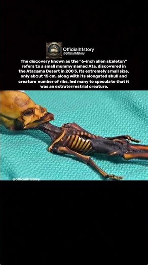 a skeleton measuring 6 inches or 15 cm #short