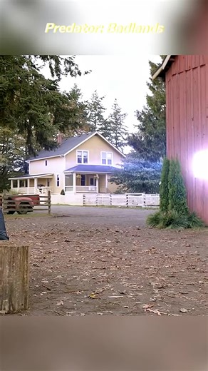 Prime Reells on Instagram: "🎬 Predator: Badlands (Upcoming / 2025) 🎭 Genre: Action • Sci-Fi • Thriller • Horror Premise: Predator: Badlands is a new installment in the Predator franchise, set in a dystopian future where humanity struggles to survive in harsh, lawless badlands. When a deadly Predator arrives on Earth, a group of survivors, including ex-soldiers and outlaws, must band together to survive the relentless alien hunter. The story blends high-octane action with survival horror, explo