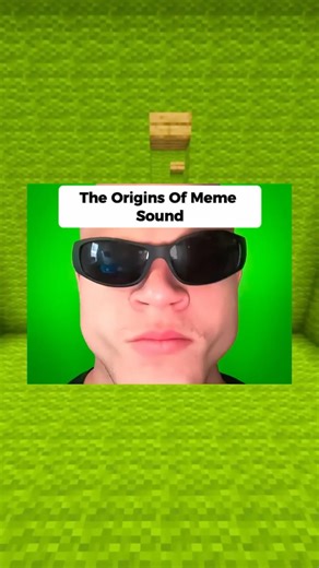 The Origins Of Meme Sounds #13