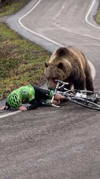 Most shocking animal moments caught on camera 😱 #wildlife #shorts