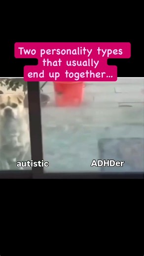 Is that so? 🤔🤣 #autistic #adhder #fyp #badsixx #sixx