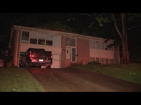 Residents safe after large trees falls onto homes in rural Belleville