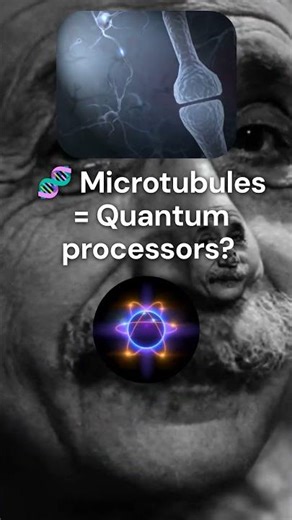 Quantum Entanglement in Your Brain The Consciousness Theory Explained #shorts