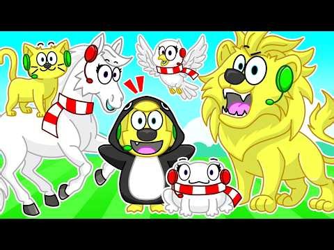 We're FINALLY CHANGING ANIMALS..