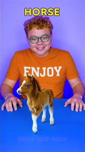 Animal Matching Game! 🧩🐑 Put Them Together! 🐴