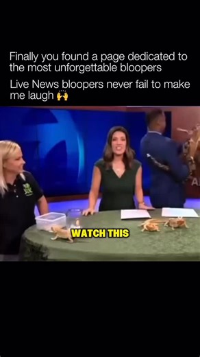 These are way too good 🤣 Live news bloopers are moments where anchors, reporters, or guests break composure on air—laughing uncontrollably, misreading teleprompters, reacting to unexpected visuals, or getting caught off guard by awkward wording or situations. Viewers are used to news being controlled and authoritative, so watching an anchor losing it makes it feel natural | Unforgettable Bloopers